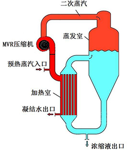 离心式水蒸汽压缩机